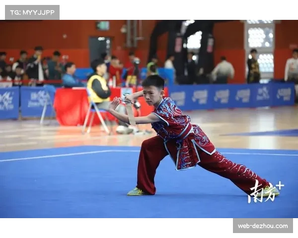 武术套路赛事圆满收官 各省市代表队收获颇丰